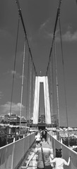 1463886