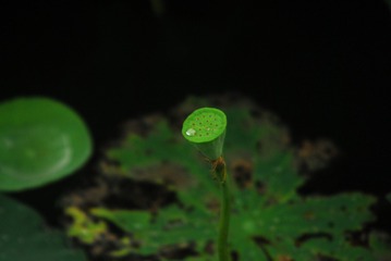2535673