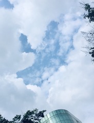 3043722