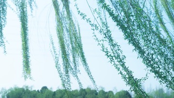 C22DDA49-7ADE-4B0E-96F1-CB8D3C8E2399/L0/001