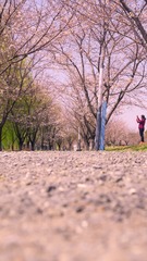 D703E90A-993E-4665-B1B5-CD6AF9BBD9DF/L0/001