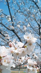 4AD9FDA9-BD8A-4A78-BAA6-9B7E4DD6A7D6/L0/001