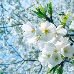 84F9000B-EAC3-41FA-BBF1-AAA5C2FBFE57/L0/001