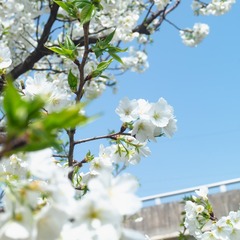 622FC14C-AD84-4A9D-B9BB-C4E7274E47C5/L0/001