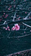 30D1B5CE-B662-489B-B91F-AB0BBFF77D05/L0/001