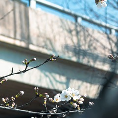 A1EC6CE7-7397-41EB-ADC6-9D5D800D2BEB/L0/001