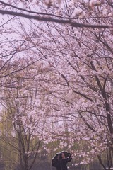 2663A54E-F93D-4E81-8FA3-8B960DA7E19B/L0/001