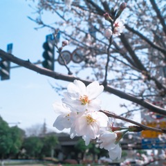 9E6C216B-755D-4A11-A1A4-071DDF66B0D7/L0/001