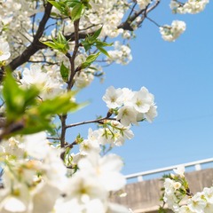 AE2E72F5-80A5-4882-B1A9-EE17D9047C19/L0/001