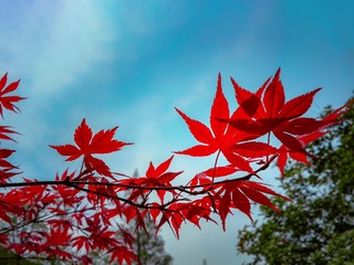 20150411_113911