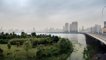 P1010552