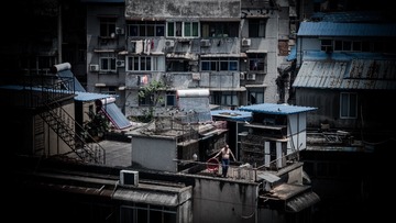 P1010353
