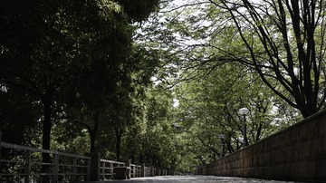 SDIM0100