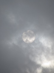1644281