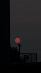 886DD5DD-5D4A-477D-8894-81D8022ACEC7/L0/001