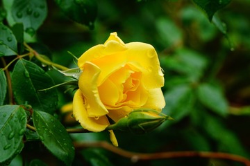 8D9CBCAC-79F6-4000-ABF4-E3CEE04FACC5/L0/001