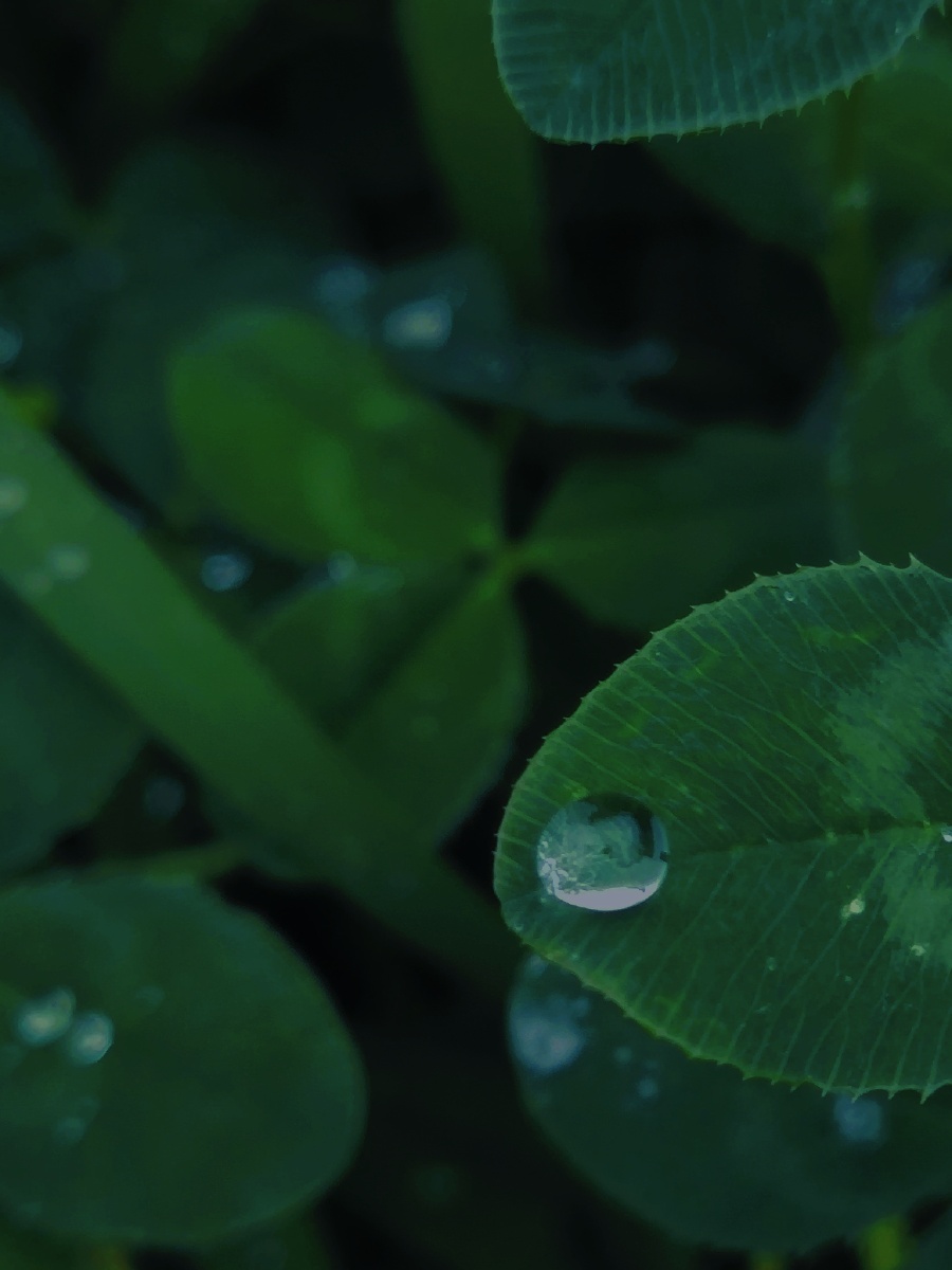 我来给大家带来高级绿色调电影静谧蓝光感负100亮度负100对比度负100