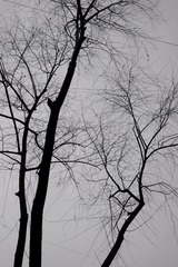 FF1D09A5-F34B-43AD-8262-FCC5CBBF93DF/L0/001