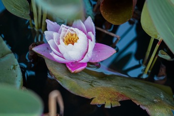 001