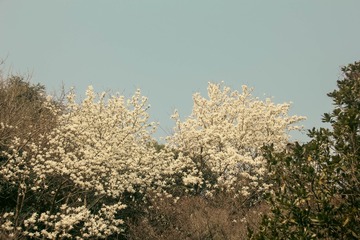 C761DC0F-EB30-4DDE-A793-AEFEEF1EE081/L0/001