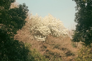 E9461EBB-2AF9-4CD0-B7B8-EF534FAADC1E/L0/001