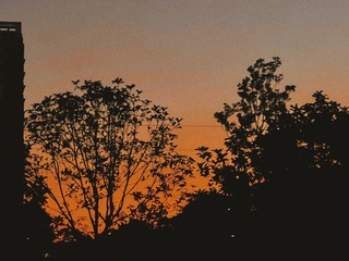 8BB6E86C-347E-452D-89F1-1E94BF36093F/L0/001