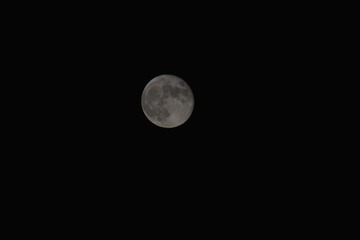 6CF21E30-FAA1-401F-9006-6BB647508375/L0/001