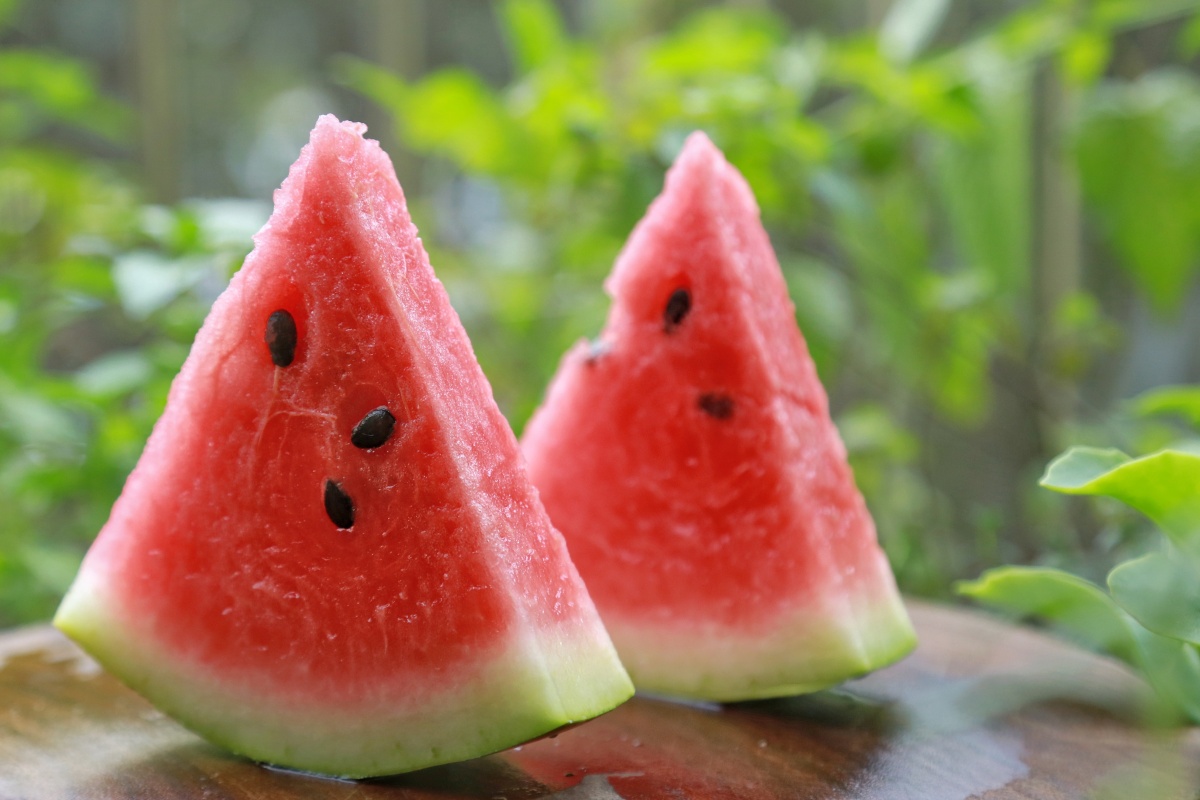 立秋吃西瓜