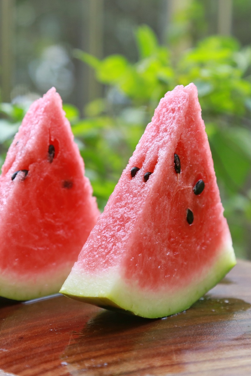 立秋吃西瓜