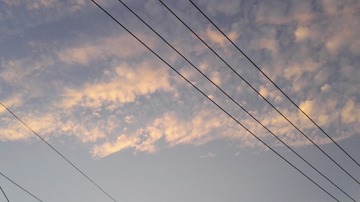 279410