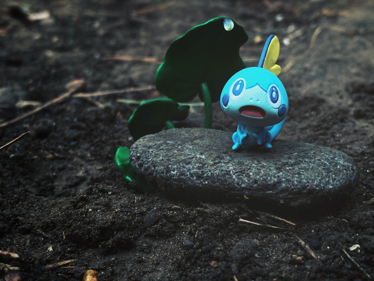 发现野生宝可梦泪眼蜥03