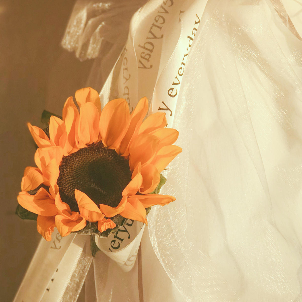 一朵向日葵的午后