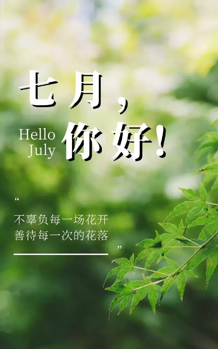 太阳太阳紧握双手抓住每一天拳头脚踏实地走好每一步