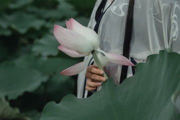 精选 (7 - 16)