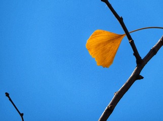 8188