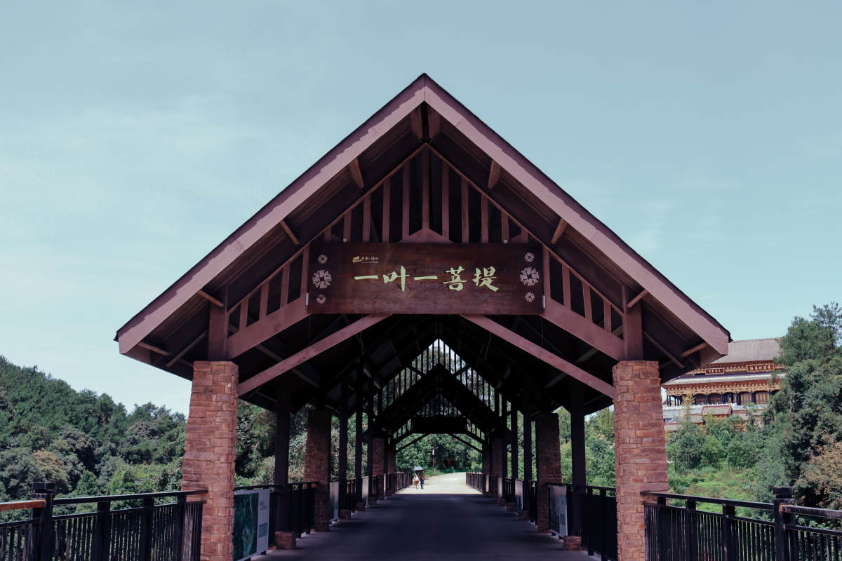 成都蒲江石象湖寺庙宗教佛教森林楼亭屋檐