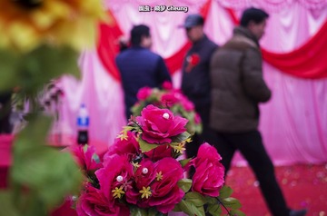 _IMG7727