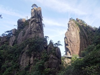 265067