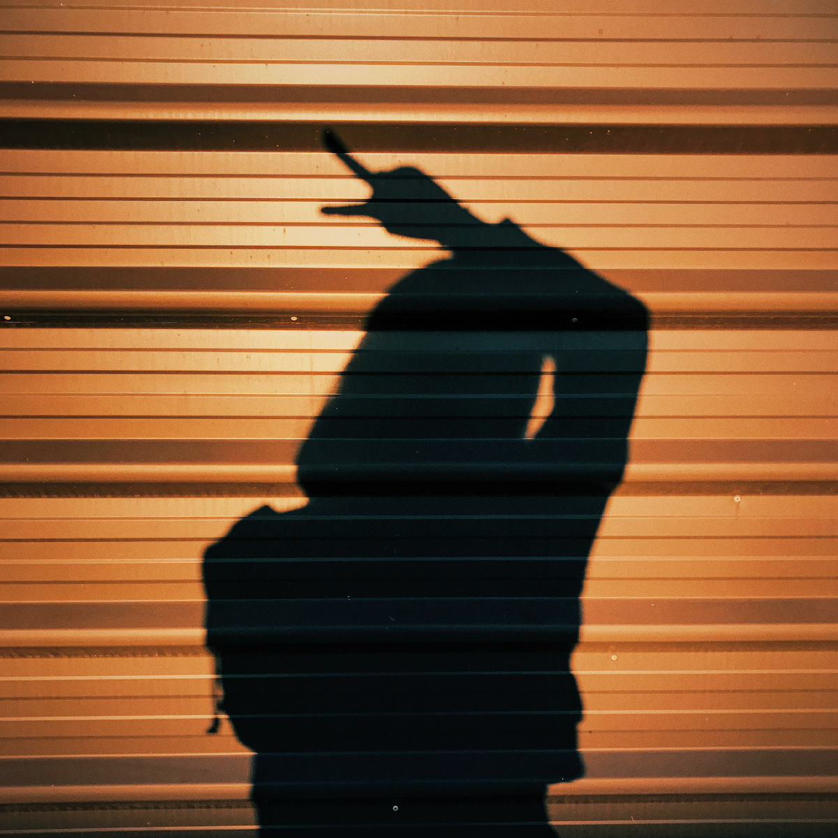 艺术影子光轮廓   打开微信,使用"扫一扫"即可将网页分享之朋友圈