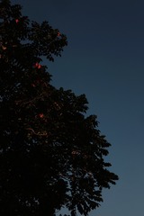 B6F4BE66-50CD-4FCF-92EF-375CD2919E9B/L0/001