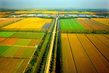 标题：多彩的土地 摄影：王卫军  手机：15956586222 