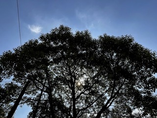 FE9B3D46-6E40-4BFC-A2C6-DA9AD357DE4F/L0/001