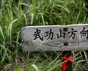 D78D3BFE-B226-4AE4-BF0C-B8D9B78D8432/L0/001