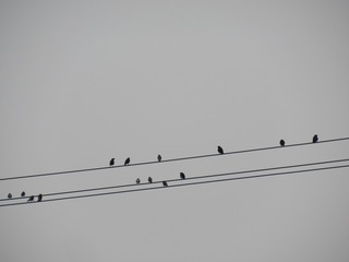 055060D5-BABF-4A89-A747-3FC6F3E0C0C5/L0/001