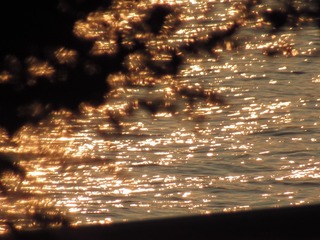 828C8F14-33F1-4E6B-9034-837B6252EC44/L0/001