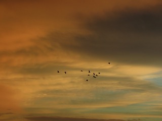 27DAC807-F515-4EFE-A170-7D857DEA949D/L0/001