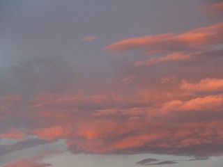 9F1BD5B2-237D-4A2D-A170-A39AC65C8705/L0/001
