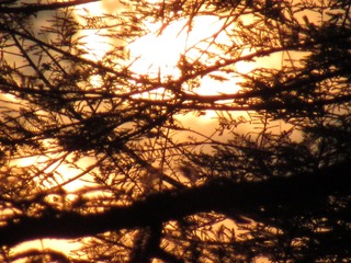 9E1C4A70-3F10-4045-8F1C-FFCCE74A0177/L0/001