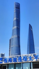 1000171691