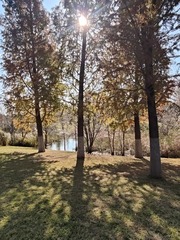 1000133228